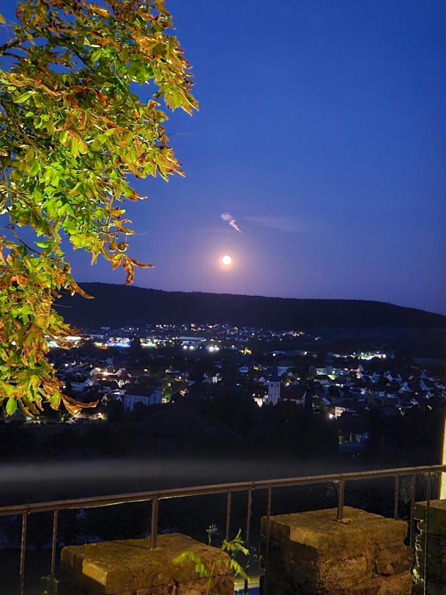 Eventlocation & Hotel Schloss Neuburg Obrigheim Eksteriør billede